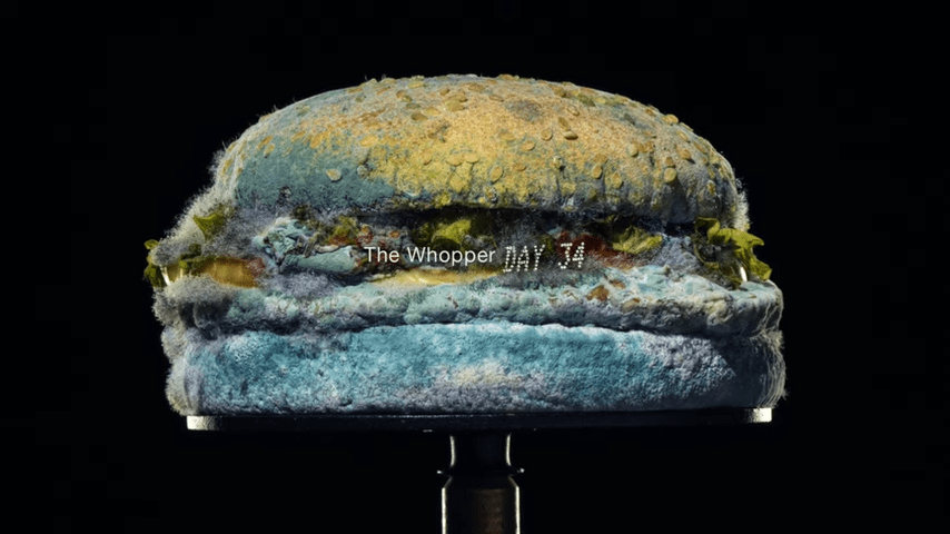 Burger King The Moldy Whopper